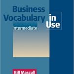 Business Vocabulary in Use