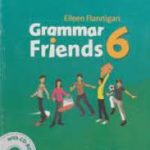 grammar friends 6