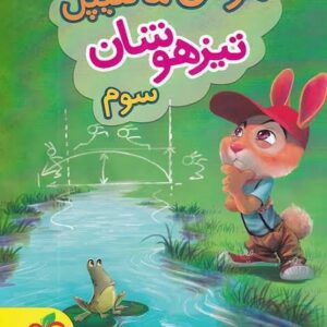 هوش مالتیپل سوم